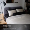 Vỏ Gối Trơn 100% Tencel 60S 50x70cm Nhiều Màu - 1.988 Home Up Giá 200k Lụa Mềm Mát 8