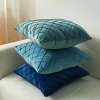 Vỏ Gối Tựa Lưng Sofa Nhung Gân Nổi Chéo Kim Cương Cao Cấp 45x45cm GSF05 Giá 83.000đ 5