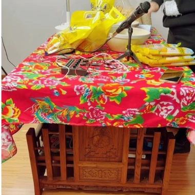 Vỏ gối vuông công phượng - Trang trí Tết sofa, nhà cửa, quán cà phê, giá 45.000 VNĐ