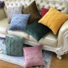 Vỏ gối vuông nhung 45x45cm - Tựa sofa decor nhà hàng, giảm còn 13.900₫ 2