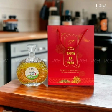 Vỏ Hộp Quà 5c Đông Trùng Hạ Thảo Đựng Chai XO - Sang Trọng, Đóng Gói Chất Lượng, Không Chai 10 Vỏ Hộp Quà 5c Đông Trùng Hạ Thảo Đựng Chai XO - Sang Trọng, Đóng Gói Chất Lượng, Không Chai 10