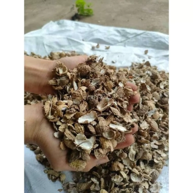 Vỏ lạc 15kg - Phân bón hữu cơ cho cây, giá giảm 135.000đ, dinh dưỡng tối ưu 2