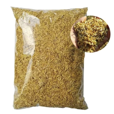 Vỏ Trấu Khô 1kg - Lót Chuồng Gà Con, Rutin Trấu, Đệm Ổ Gà Đẻ, Giá chỉ 13.124₫ 3
