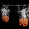 Vòng chuỗi 108 hạt Bồ đề kim cang tự nhiên 10mm – om mani padme hum Tây Tạng – 301.875₫ 4