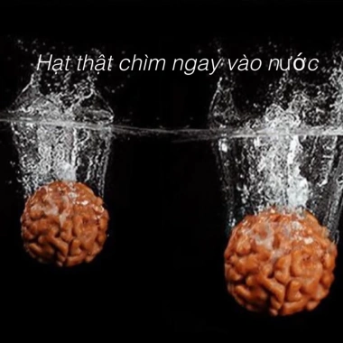 Vòng chuỗi 108 hạt Bồ đề kim cang tự nhiên 10mm – om mani padme hum Tây Tạng – 301.875₫ 4 Vòng chuỗi 108 hạt Bồ đề kim cang tự nhiên 10mm – om mani padme hum Tây Tạng – 301.875₫ 4