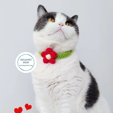 Vòng cổ chó mèo len bông hoa dễ thương HELLOPET - Đan thủ công 23.000đ 5 Vòng cổ chó mèo len bông hoa dễ thương HELLOPET - Đan thủ công 23.000đ 5