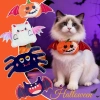 Vòng cổ Halloween thú cưng Nhện Dơi Bí ngô điều chỉnh, dễ thương cho mèo, chó - phụ kiện tiệc chụp ảnh