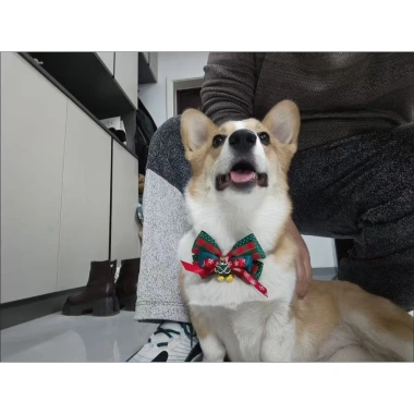 Vòng cổ mèo Noel nơ đáng yêu có chuông, điều chỉnh size 0.5‑30kg cho mèo và chó 5