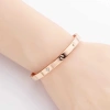 Vòng đeo tay thép titan 18K đính kim cương, thanh lịch cho nữ - Giá 34.485 VND 8