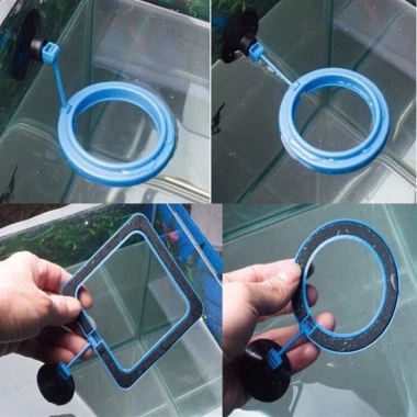 Vòng giữ thức ăn cá cảnh thủy sinh – Chắn bèo bể ngoài trời, chỉ 15.000₫ 3