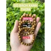 Vòng gỗ bách thơm giá sỉ 5.900 VND - Hạt bách tự nhiên, mùi thơm nhẹ, bền đẹp
