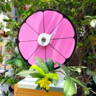 Vòng Quay hoa hồng 8 ô viền đen - Đường kính 25cm, cao 35cm, giảm giá 110k