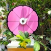 Vòng Quay hoa hồng 8 ô viền đen - Đường kính 25cm, cao 35cm, giảm giá 110k 6