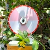Vòng Quay May Mắn 6 Ô Đường kính 25cm Cao 35cm, Giá ưu đãi 119.000 VNĐ 5