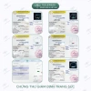 Vòng tay bạc 925 nữ TLEE LT418 kim tiền mix ngũ điếu, đá phong thủy tự nhiên, charm bi bóng Giá ưu đãi 600k 5