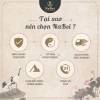 Vòng Tay Charm Thạch Anh Dâu NB198 Phong Thủy NaBei Mộc Hỏa Thổ Nam Nữ Giá 600k 3