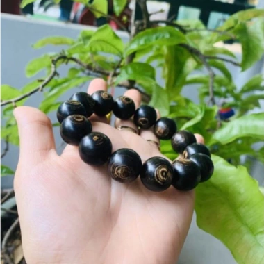 Vòng tay trầm hương phong thủy nam nữ - Đơn sánh chìm, may mắn tài lộc, giá ưu đãi 490.000đ
