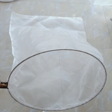 Vợt Cào Cào Loại To Đường Kính 60cm - Dễ Dàng Cho Chim Ăn, Giá Chỉ 95.000₫