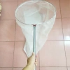 Vợt cào châu chấu cán dài 50cm, độ bền cao, giá ưu đãi 129k