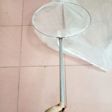 Vợt cào châu chấu cán dài 50cm, độ bền cao, giá ưu đãi 129k 4 Vợt cào châu chấu cán dài 50cm, độ bền cao, giá ưu đãi 129k 4