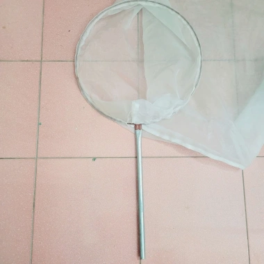 Vợt cào châu chấu cán dài 50cm, độ bền cao, giá ưu đãi 129k
