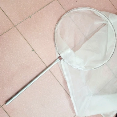 Vợt cào châu chấu cán dài 50cm, độ bền cao, giá ưu đãi 129k