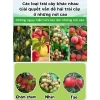 Vợt hái trái cây cao MONQIQI - Thép không gỉ, thu gọn, kèm túi vải, chỉ 65.000₫ 5