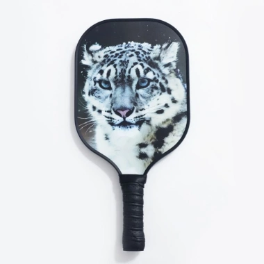 Vợt Pickleball Carbon T700 cho Người Mới Bắt Đầu, Kèm 2 Bóng, Giá 140.000₫