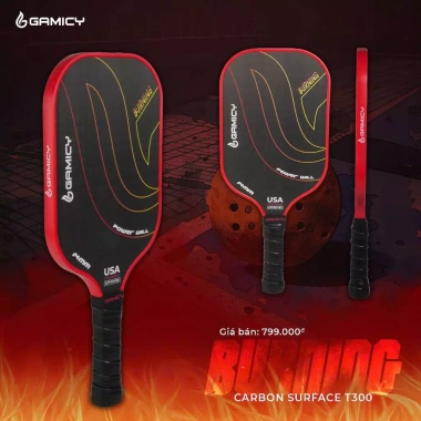 Vợt Pickleball Gamicy T300 Carbon 14mm Nguyên Khối – Cao Cấp, Chính Hãng USA