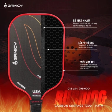 Vợt Pickleball Gamicy T300 Carbon 14mm Nguyên Khối – Cao Cấp, Chính Hãng USA