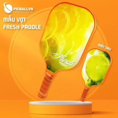 Vợt Pickleball Người Mới - Sợi Thủy Tinh Lõi Tổ Ong, Nảy Tốt, Tặng Bóng - PICBALL VNL01 90k