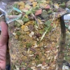 Vụn mix lộn xộn thịt sấy đông khô cho chó mèo hamster - gan, trứng, rau củ, xương, giá ưu đãi 45.000₫ 6