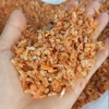Vụn tôm khô không sạn cát - Đa năng xào, kho, quẹt, làm bột nêm - 180.000₫