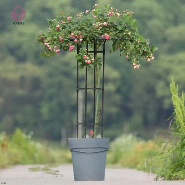 Vườn Trellis Dù Tháp Cây Hỗ Trợ DIY cho Cây Leo, Chậu Hoa - 375.980₫