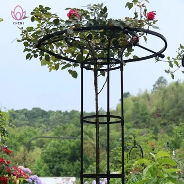 Vườn Trellis Dù Tháp Cây Hỗ Trợ DIY cho Cây Leo, Chậu Hoa - 375.980₫