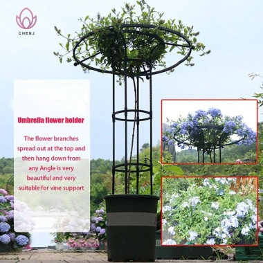 Vườn Trellis Dù Tháp Cây Hỗ Trợ DIY cho Cây Leo, Chậu Hoa - 375.980₫