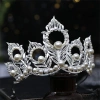 Vương miện bạc Baroque công chúa trưởng thành lá họa tiết kim cương giả phù dâu cô dâu 3