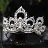 Vương miện bạc Baroque công chúa trưởng thành lá họa tiết kim cương giả phù dâu cô dâu 5