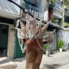 Vương miện vỏ sò tự nhiên handmade - Vương miện cô dâu, chụp hình, giảm giá 229k 6
