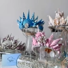 Vương miện vỏ sò tự nhiên handmade - Vương miện cô dâu, chụp hình, giảm giá 229k 7