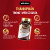 Welson Hồng Sâm Hàn Quốc Đông Trùng Hạ Thảo 60 viên - Tăng Cường Đề Kháng, 945k 4