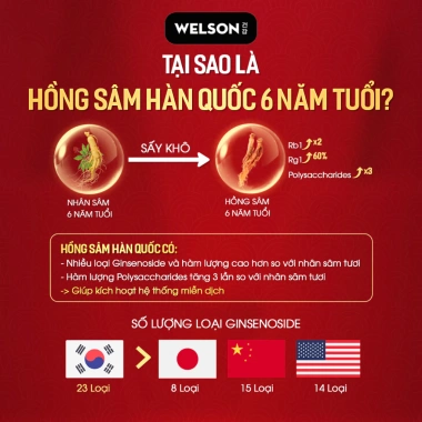 Welson Hồng Sâm Hàn Quốc Đông Trùng Hạ Thảo 60 viên - Tăng Cường Đề Kháng, 945k 5