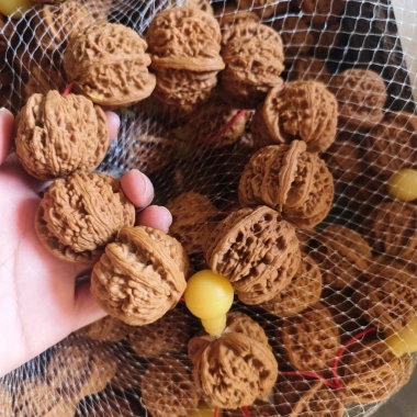 Wenwan Walnut Cầm Tay Chính Thức Mũ Quả Óc Chó Vòng Tay Lớn Đĩa Chơi Giá ưu đãi 417.573 VND 2 Wenwan Walnut Cầm Tay Chính Thức Mũ Quả Óc Chó Vòng Tay Lớn Đĩa Chơi Giá ưu đãi 417.573 VND 2