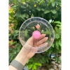 Wheel Carcool Trong Suốt Cho Hamster Vận Động Gắn Lồng Xinh Xẻo Giá 30.000₫