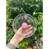 Wheel Carcool Trong Suốt Cho Hamster Vận Động Gắn Lồng Xinh Xẻo Giá 30.000₫ 2