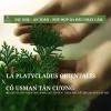 Xà Phòng Gội Đầu Cỏ Tân Cương Thảo Dược Tự Nhiên – Giảm Dầu, Ngừa Rụng Tóc, An Toàn Lành Tính Cho Da Đầu – Chỉ 81.770₫ 2
