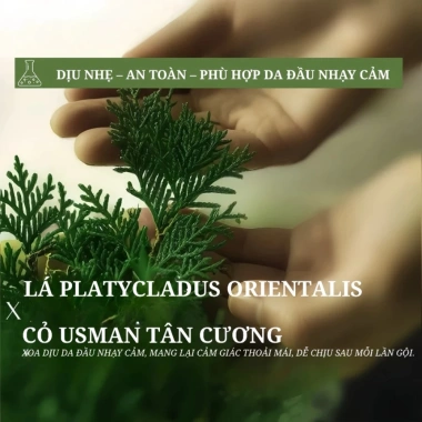 Xà Phòng Gội Đầu Cỏ Tân Cương Thảo Dược Tự Nhiên – Giảm Dầu, Ngừa Rụng Tóc, An Toàn Lành Tính Cho Da Đầu – Chỉ 81.770₫ 2 Xà Phòng Gội Đầu Cỏ Tân Cương Thảo Dược Tự Nhiên – Giảm Dầu, Ngừa Rụng Tóc, An Toàn Lành Tính Cho Da Đầu – Chỉ 81.770₫ 2