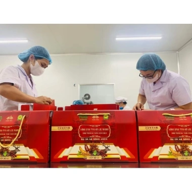 Xách Nước Hồng Sâm Táo Đỏ Lộc Nhung và Đông Trùng Hạ Thảo - Giảm giá 263k (315.6k) 5 Xách Nước Hồng Sâm Táo Đỏ Lộc Nhung và Đông Trùng Hạ Thảo - Giảm giá 263k (315.6k) 5