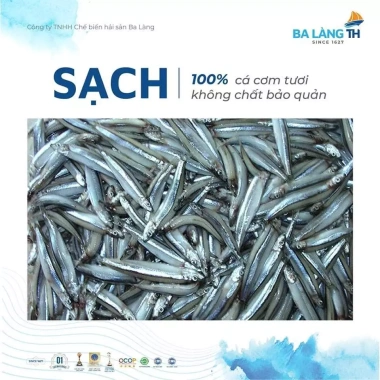 Xách Nước Mắm Chắt Sành Ba Làng TH 500ml - Combo 2 chai chỉ 163.000 VND 5