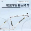 Xe đạp cố định cho nam và nữ - Miễn phí vận chuyển, giá 5.79 triệu 4